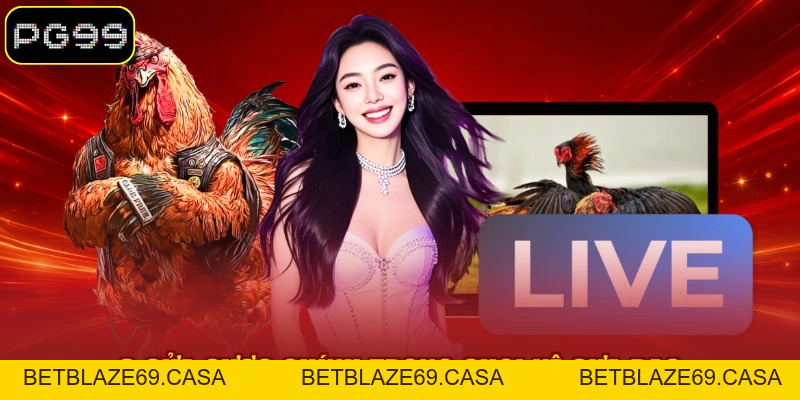 Đá Gà Cựa Dao - Loại Hình Thi Đấu Kịch Tính Tại PG99 - betblaze69