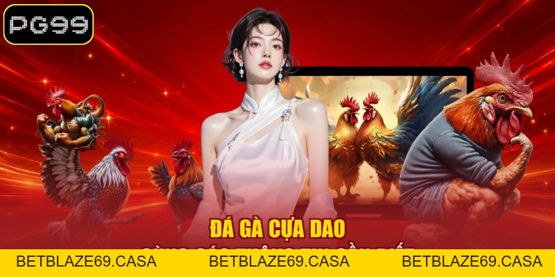 Đá Gà Cựa Dao - Loại Hình Thi Đấu Kịch Tính Tại PG99 - betblaze69