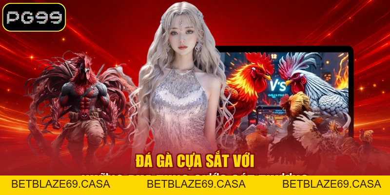 Đá Gà Trực Tuyến Là Gì? 03 Hình Thức Thi Đấu Nổi Bật - betblaze69