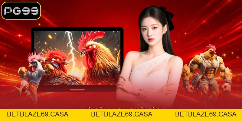 Đá Gà Thomo Trực Tuyến Sôi Động Với Nhiều Kèo Hấp Dẫn - betblaze69