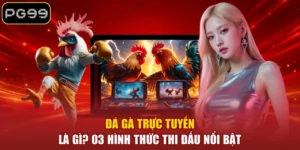 Đá Gà PG99 - Tận Hưởng 99+ Trận Đấu Kịch Tính Mỗi Ngày - betblaze69