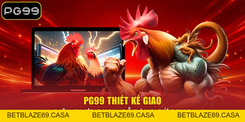 Đá Gà Thomo Trực Tuyến Sôi Động Với Nhiều Kèo Hấp Dẫn - betblaze69