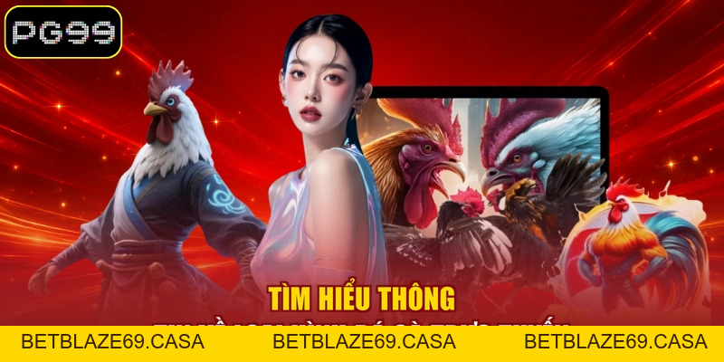 Đá Gà Trực Tuyến Là Gì? 03 Hình Thức Thi Đấu Nổi Bật - betblaze69