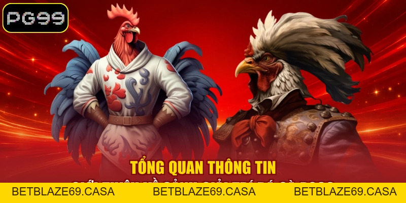 Đá Gà PG99 - Tận Hưởng 99+ Trận Đấu Kịch Tính Mỗi Ngày - betblaze69